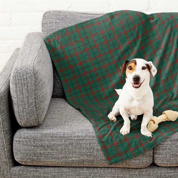 Loch Laggan Tartan Pet Blanket