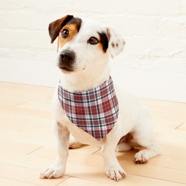Clan MacAlister Tartan Pet Bandana
