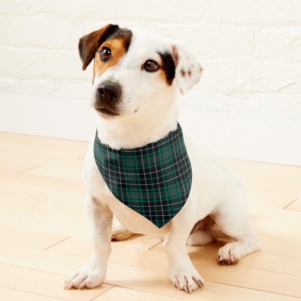Clan MacAulay Hunting Tartan Pet Bandana