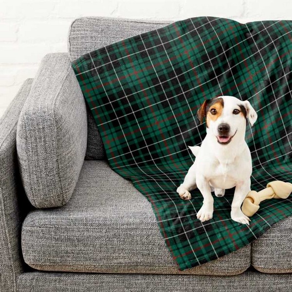 MacAulay Hunting tartan pet blanket