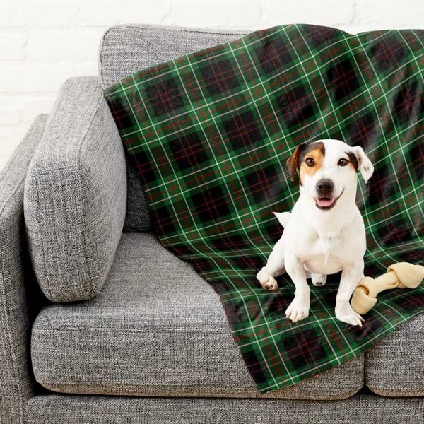 MacDiarmid tartan pet blanket