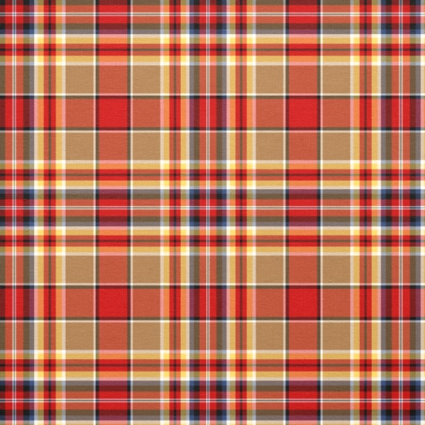 MacGlashan tartan fabric