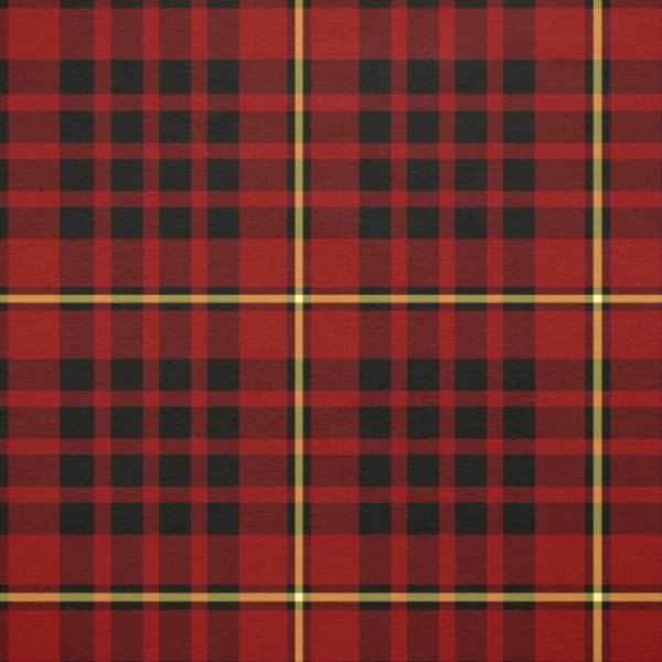 MacIan tartan fabric