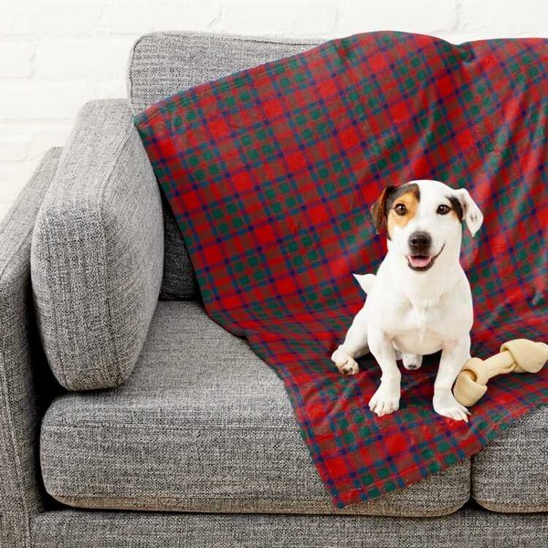 MacKintosh tartan pet blanket