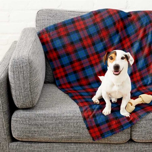 Clan MacLachlan Tartan Pet Blanket