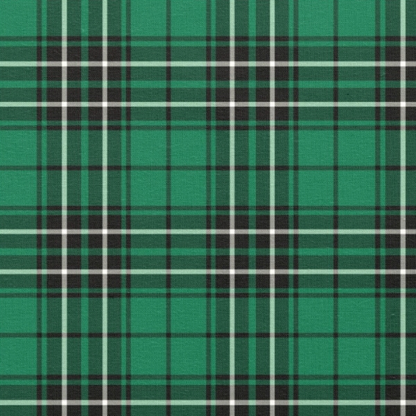 MacLean Hunting tartan fabric