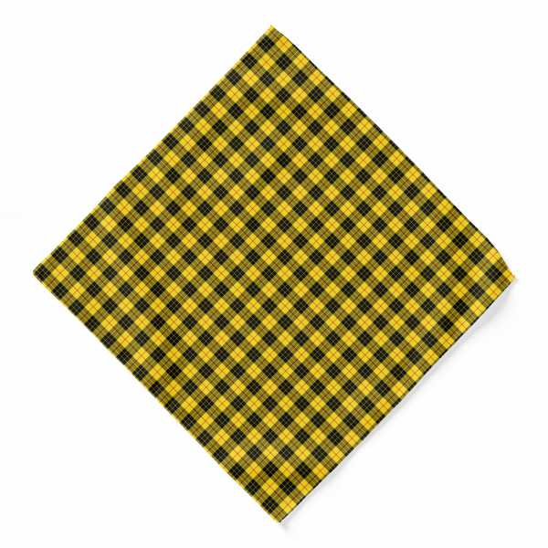 MacLeod tartan bandana