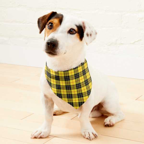 Clan MacLeod Tartan Pet Bandana