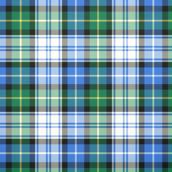 MacNeil Dress tartan fabric