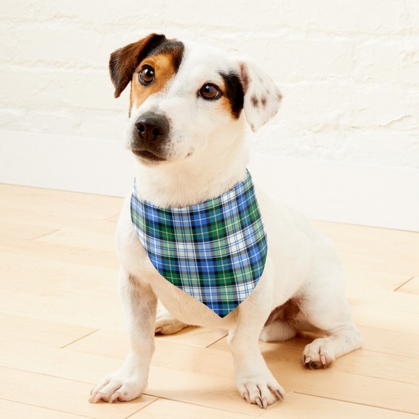 Clan MacNeil Dress Tartan Pet Bandana