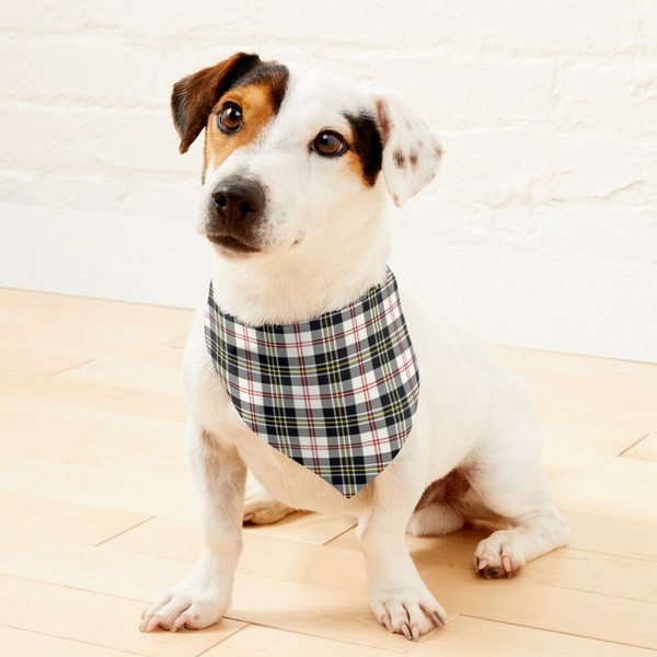 Clan MacPherson Dress Tartan Pet Bandana