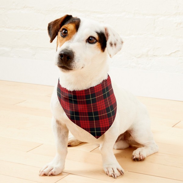 Clan MacQueen Tartan Pet Bandana