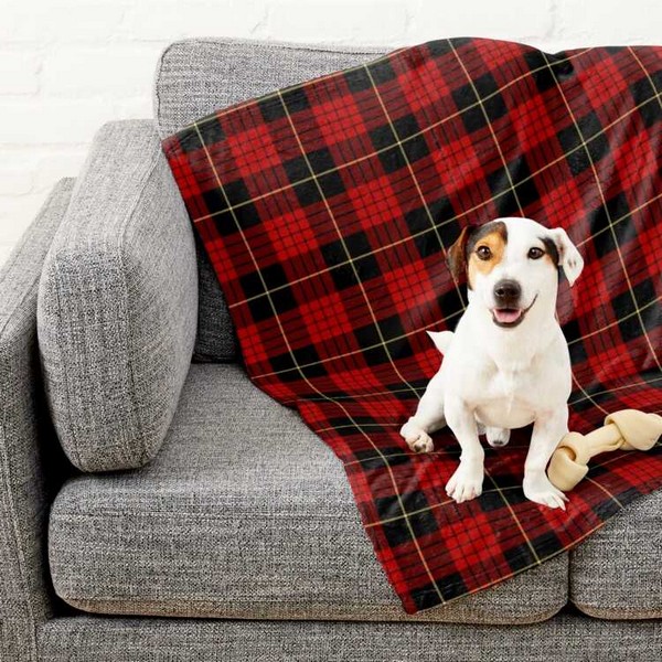 MacQueen tartan pet blanket