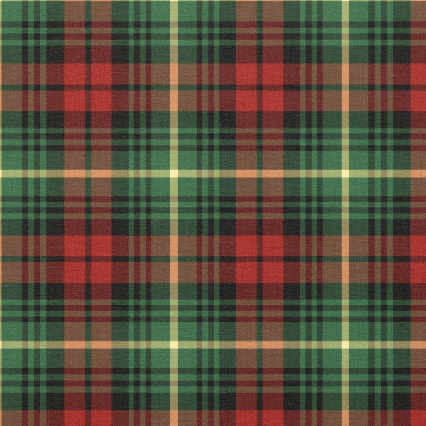 Martin tartan fabric