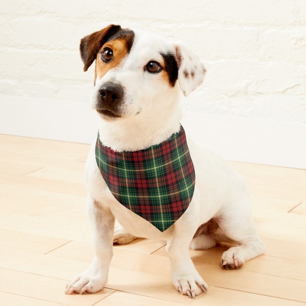 Clan Martin Tartan Pet Bandana
