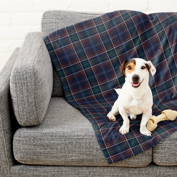 Massachusetts Tartan Pet Blanket