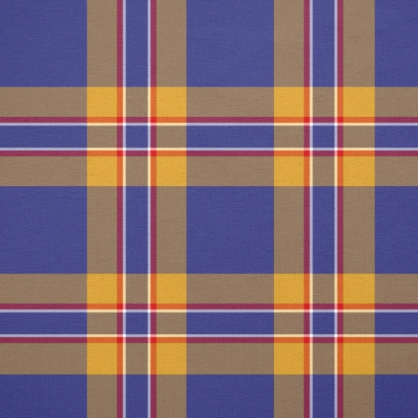 McCann tartan fabric