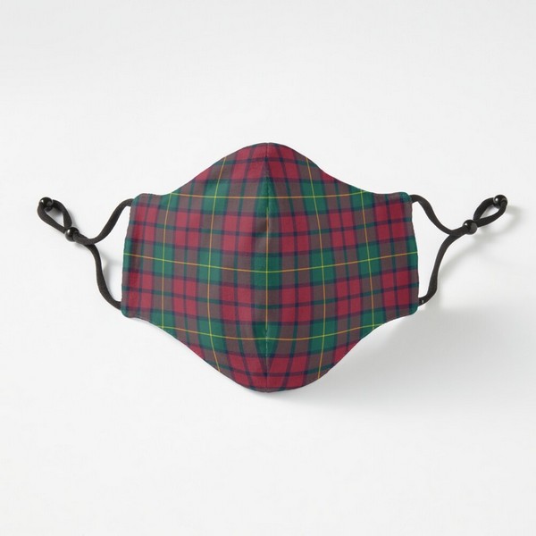 McCarthy tartan fitted face mask