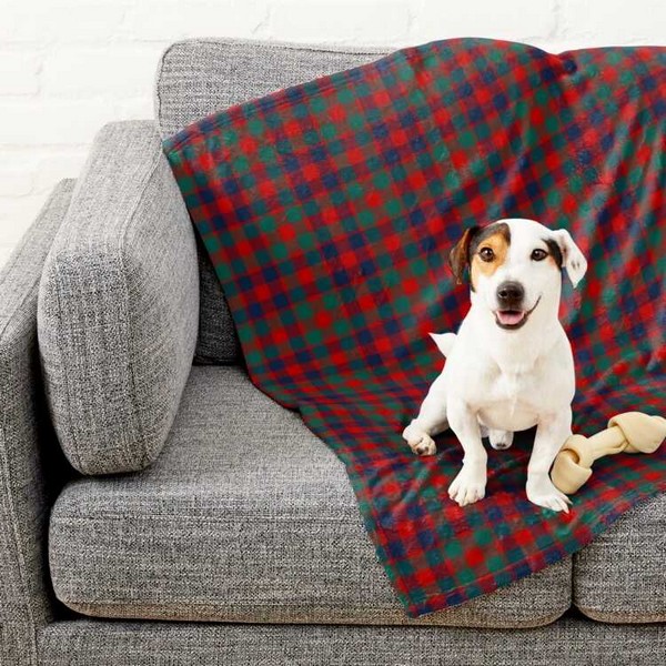 McGowan tartan pet blanket