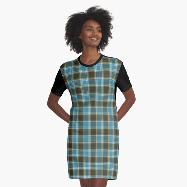 Michigan tartan tee shirt dress