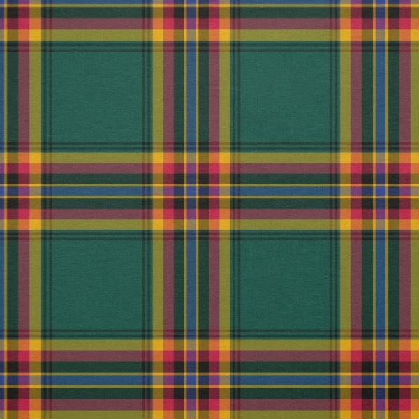 Moran tartan fabric