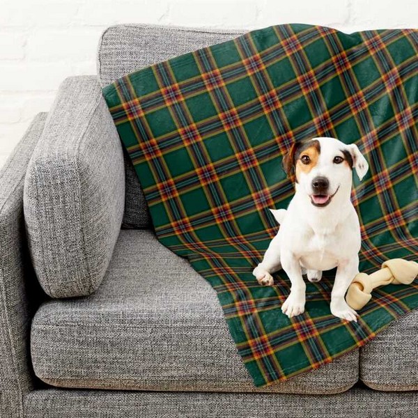 Moran tartan pet blanket