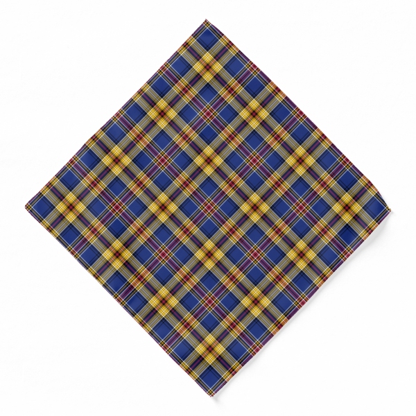 Clan Murtagh Tartan Bandana