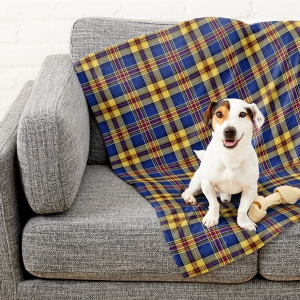 Clan Murtagh Tartan Pet Blanket