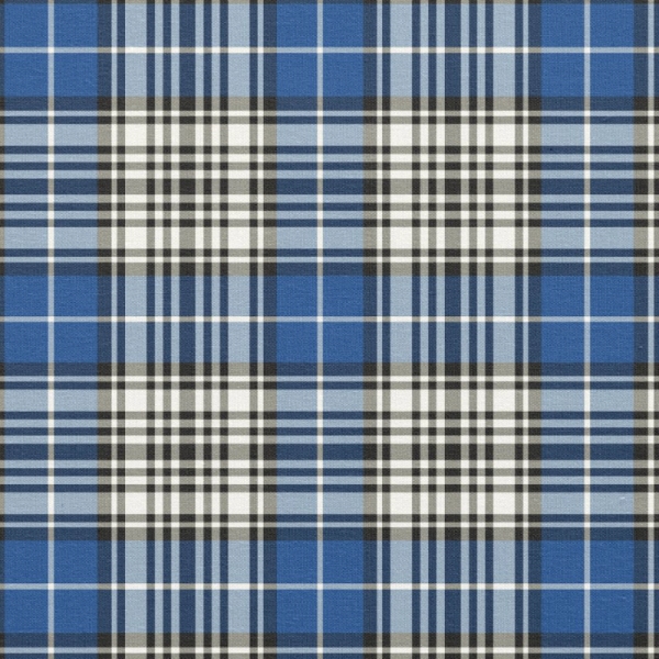 Napier tartan fabric