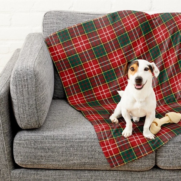 Clan Ogilvie Tartan Pet Blanket