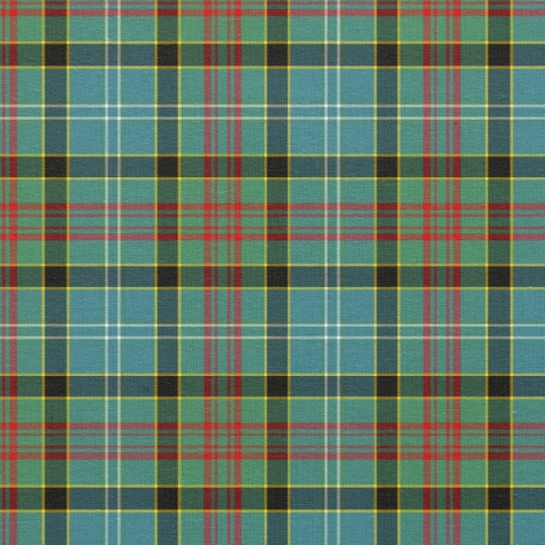 Paisley tartan fabric