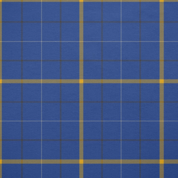 Pearson tartan fabric