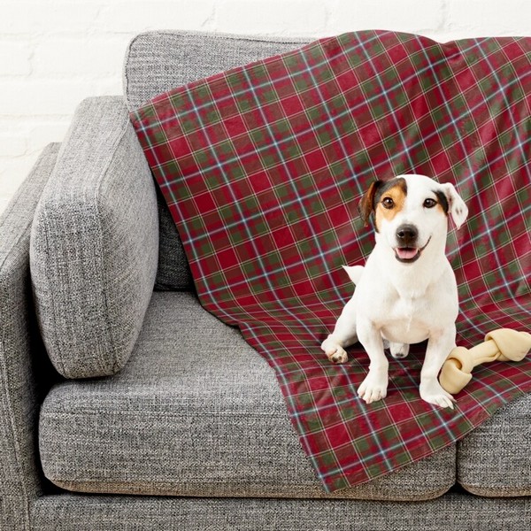 Perthshire Weathered tartan pet blanket