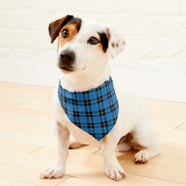 Clan Ramsay Blue Hunting Tartan Pet Bandana