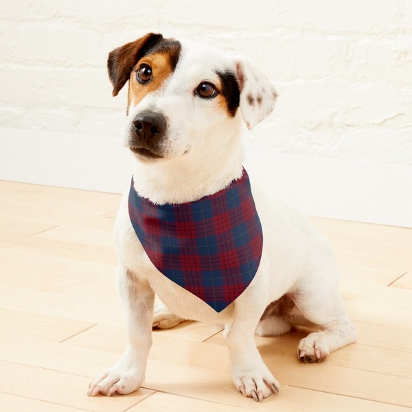 Clan Robinson Tartan Pet Bandana