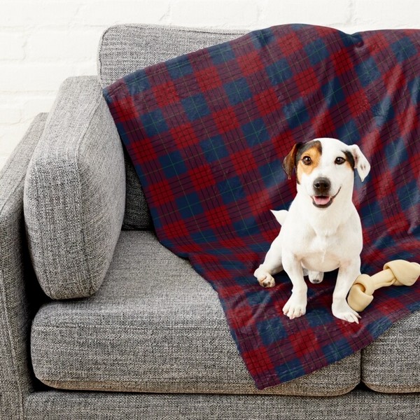 Robinson tartan pet blanket