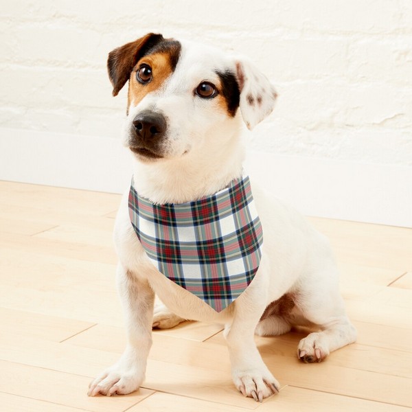 Stewart Dress tartan pet bandana