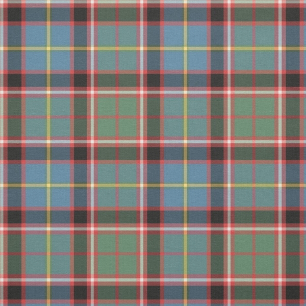 Stirling Ancient District tartan fabric