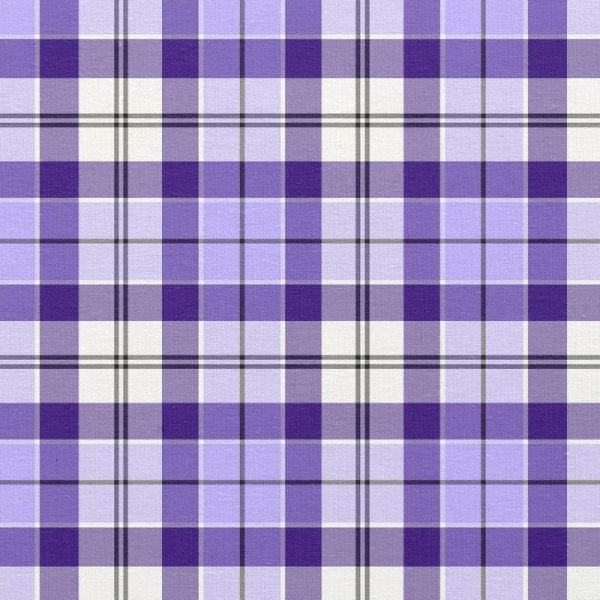 Strathclyde Ancient tartan fabric