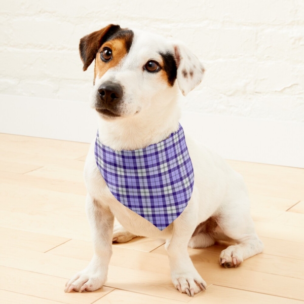 Strathclyde Ancient tartan pet bandana