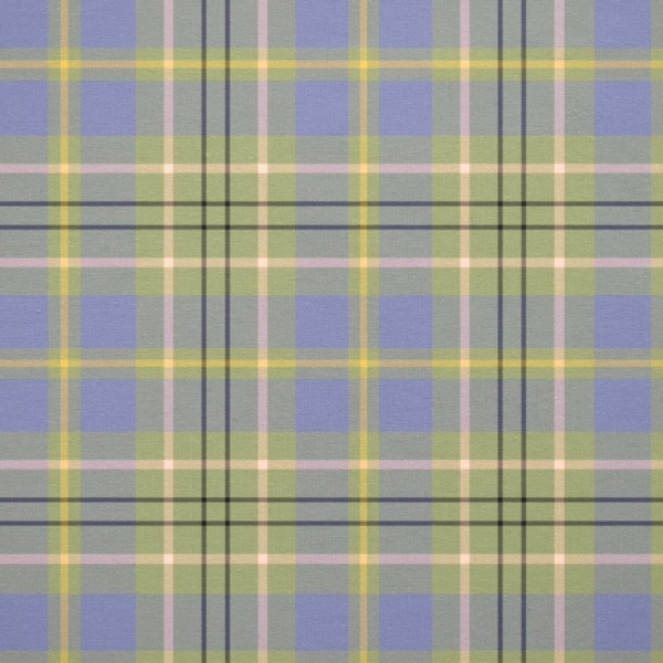 Clan Taylor Ancient tartan fabric