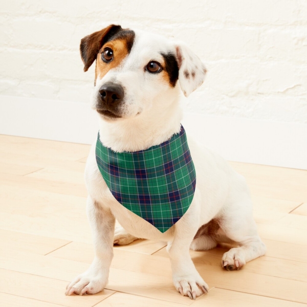 Tennessee tartan pet bandana