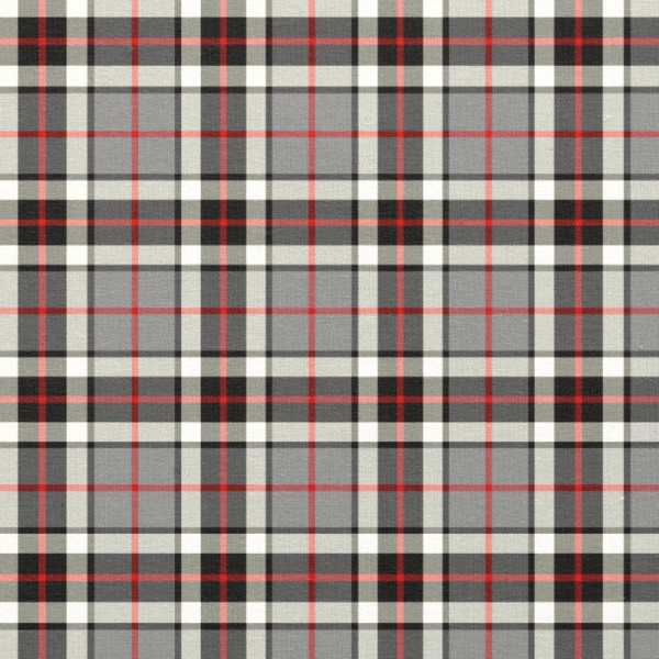 Thompson Gray Dress tartan fabric