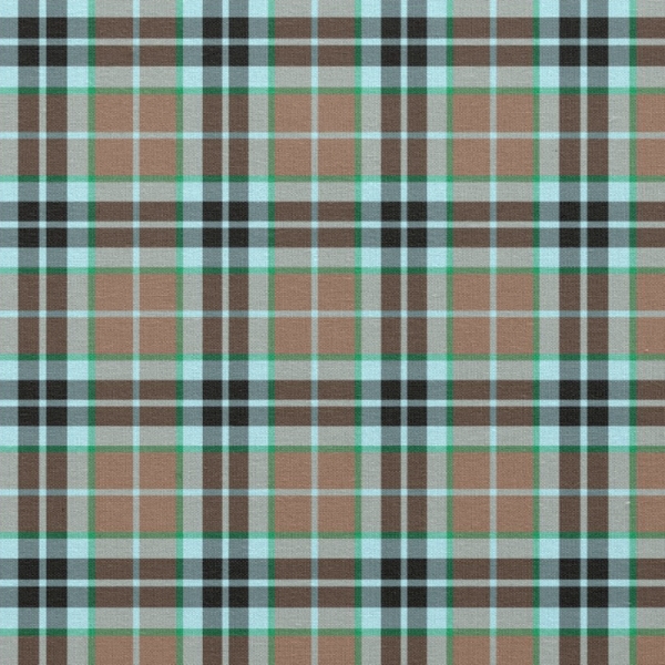 Thompson Hunting tartan fabric