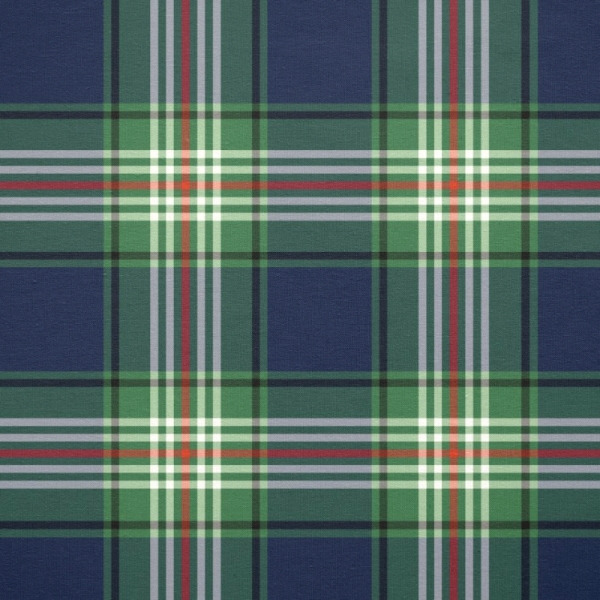 Clan Todd tartan fabric