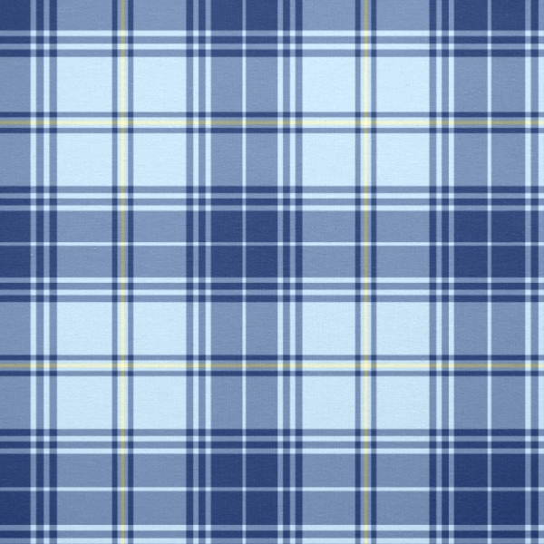 Clan Trainer tartan fabric