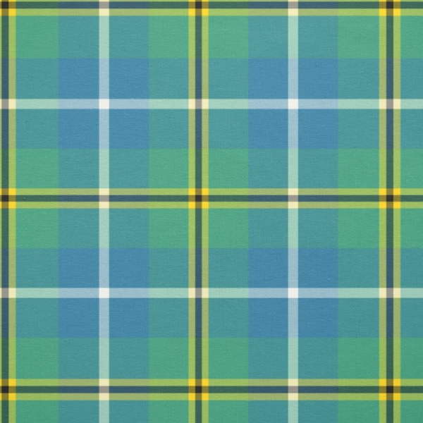 Turnbull Ancient Hunting tartan fabric