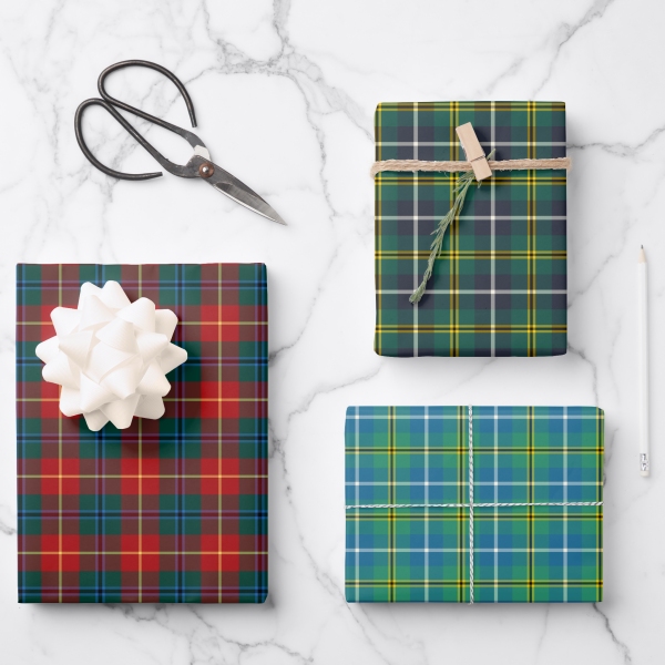 Turnbull tartan variety wrapping paper