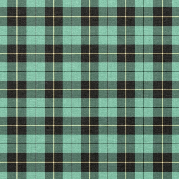 Wallace Ancient Hunting tartan fabric