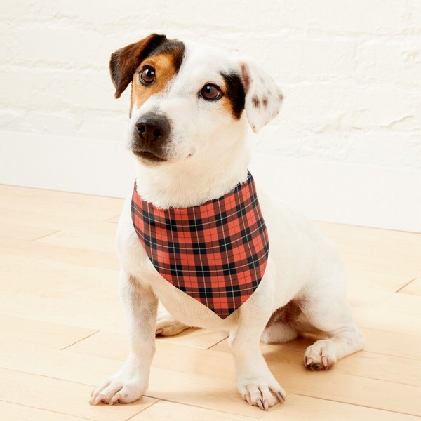 Wallace Ancient tartan pet bandana